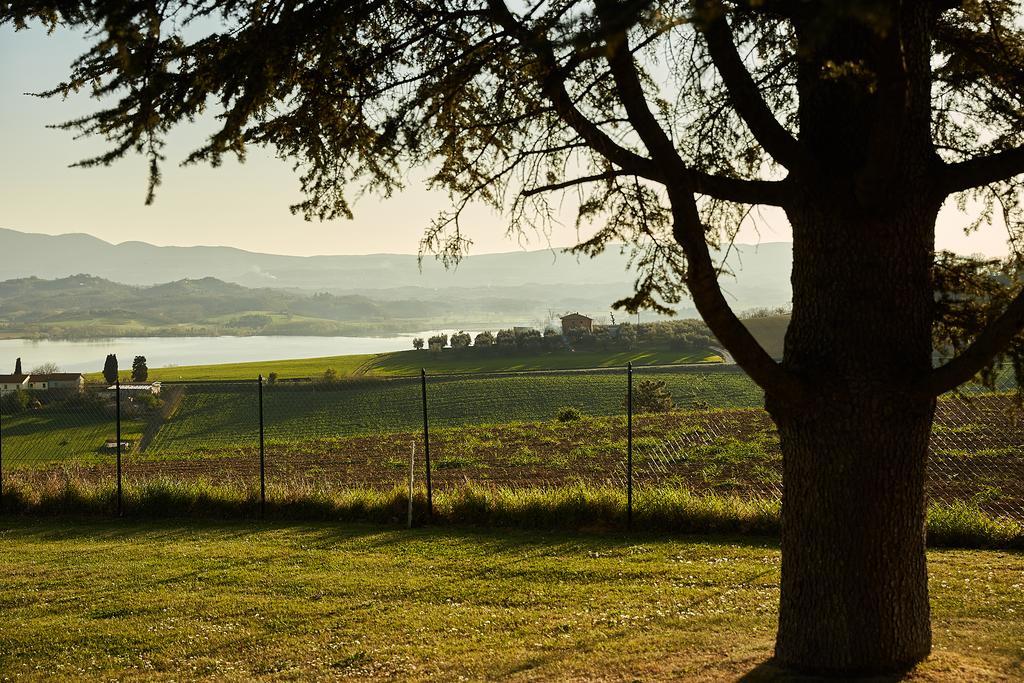 Podere Fontegallo Кастильоне дел Лаго Екстериор снимка