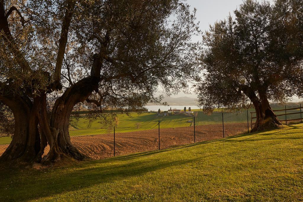 Podere Fontegallo Кастильоне дел Лаго Екстериор снимка