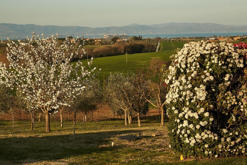Podere Fontegallo Кастильоне дел Лаго Екстериор снимка