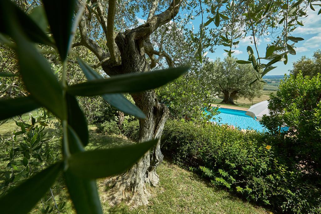 Podere Fontegallo Кастильоне дел Лаго Екстериор снимка
