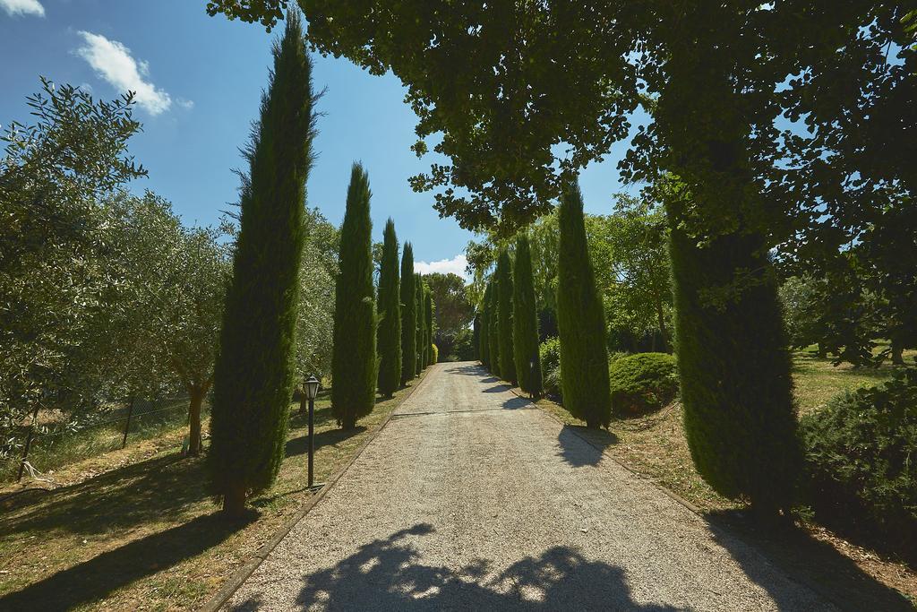 Podere Fontegallo Кастильоне дел Лаго Екстериор снимка